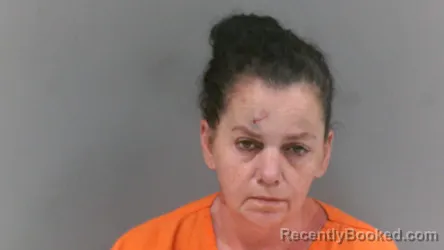 Mugshot of Melva `Darlene Lambert booked in McDowell County, West Virginia on July 2, 2026